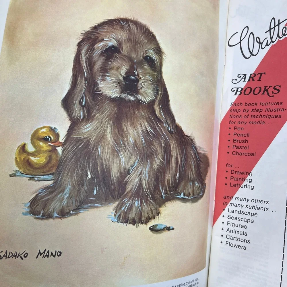 How to Draw Furry Friends Art Book Walter Foster Sadako‎ Mano 189 Animals Dog